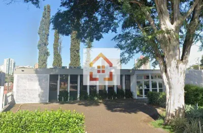 Sala comercial para alugar na Avenida Bandeirantes, 460, Vila Ipiranga, Londrina