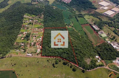 Terreno comercial à venda na Rua Pr 445, Área Rural de Londrina, Londrina