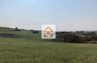 Terreno comercial à venda na Rua Antônio Sabino, Parque Industrial, Ibiporã