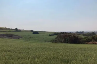 Terreno comercial à venda na Rua Antônio Sabino, Parque Industrial, Ibiporã