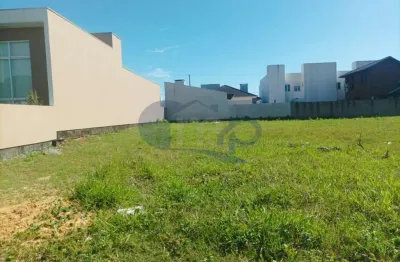 Viva a conexão com a natureza: morada das palmeiras em torres