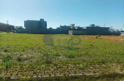 Onde a cidade encontra a natureza: morada das palmeiras em torres