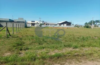 Refúgio na natureza: terreno no morada das palmeiras em torres