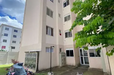 Apartamento para vender com 02 quartos no bairro maranguape em paulista