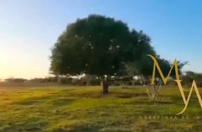 Terreno à venda na Estrada Deodoro de Azevedo, Ogiva, Cabo Frio