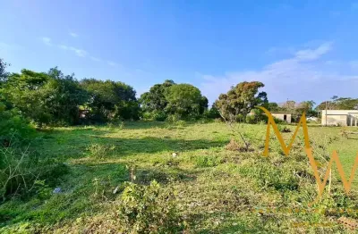Excelente oportunidade! sítio completo e pronto para produçao