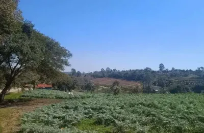 São roque; oportunidade de fonte de renda ou lazer; 5.000m2 - venha fazer parte do roteiro do vinho;