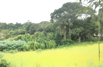 Ibiúna; “4.282,00m2', uma bela área não concorda?pode ser usado como terreno comercial, p/barracão +