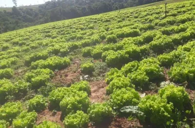 Ibiúna; linda área rural; com grandes possibilidades olha só: 61.000m2 ;área totalmente aproveitável