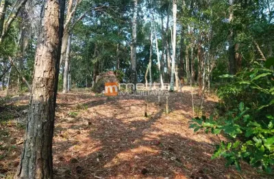 Terreno à venda na rodovia haroldo soares glavan, 240, cacupé, florianópolis por r$ 12.000.000