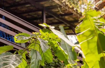 Casa Maravilhosa Com Vista Mar Super Diferenciada Junto A Mata Nativa