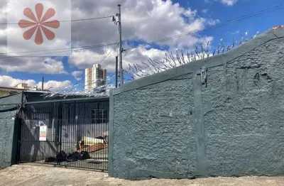 Terreno comercial para alugar na Vila Ponte Rasa, São Paulo 