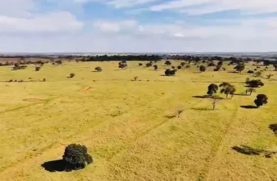 Vendo fazenda 39 alqueires paulista - região de nova granada-sp - r$ 7.900.000,00