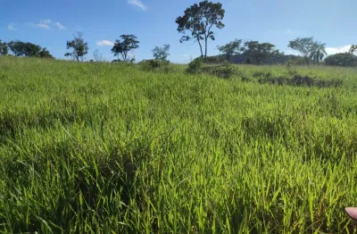 Fazenda de  48 alqueires toda formada em novo brasil , não tem casa e curral .