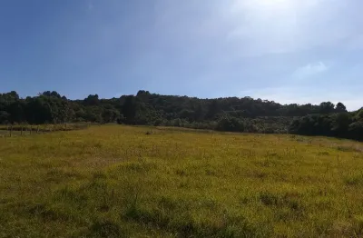 Chácara, 34.570 m², à venda por r$ 450.000 - contenda - são josé dos pinhais/pr