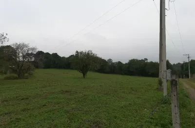 Chácara, 20.000 m², à venda por r$ 590.000 area rural - são josé dos pinhais/pr