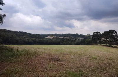 Área para loteamento, 154.483 m², à venda por r$ 11.000.000 colônia zacarias - são josé dos pinhais/pr