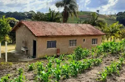 Fazenda à venda no Centro, Piedade 