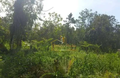 Terreno à venda, 6000 m² por r$ 60.000,00 - estância vale da serra - peruíbe/sp