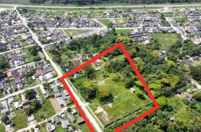 Terreno à venda, 10300 m² por r$ 1.500.000,00 - balneário caraguava - peruíbe/sp