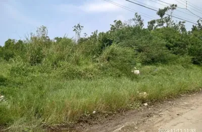 Terreno à venda, 310 m² por r$ 60.000 - balneário caraguava - peruíbe/sp