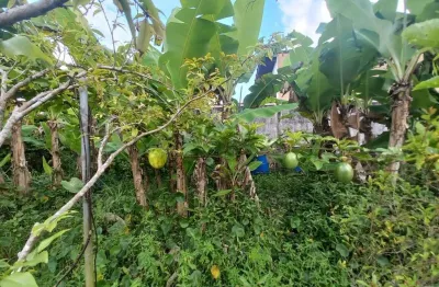 Chácara com 3 dormitórios à venda, 1000 m² por r$ 850.000,00 - jardim prados - peruíbe/sp