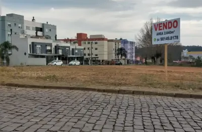 Lindos terrenos, área plana, zona mista. podem ser construídos pavilhões