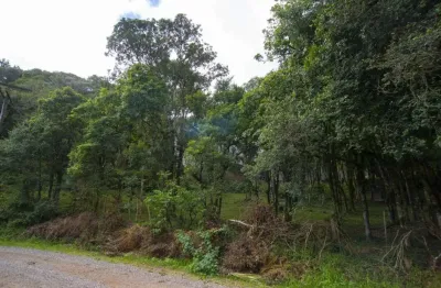 Para quem quer morar dentro de caxias do sul, como se morasse no interior. Natureza exuberante