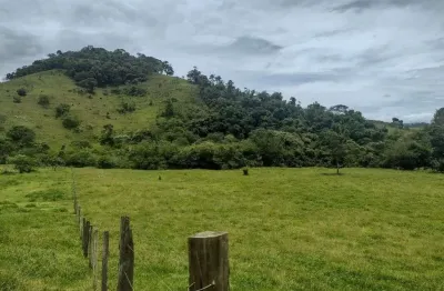 Terreno à venda, 50300 m² por r$ 800.000,00 - jardim julieta - taubaté/sp