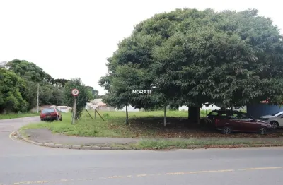 Terreno à venda no Rio Pequeno, São José dos Pinhais 
