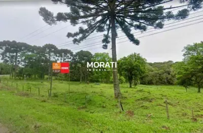 Chácara / sítio à venda no Lagoinha, Tijucas do Sul 