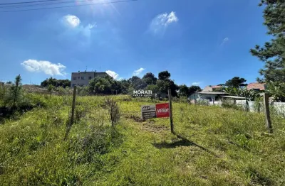 Terreno à venda no Del Rey, São José dos Pinhais 