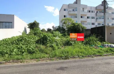 Terreno à venda no Rio Pequeno, São José dos Pinhais 