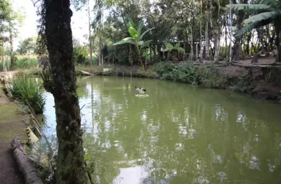Chácara / sítio com 4 quartos à venda em Campestre da Faxina, São José dos Pinhais 