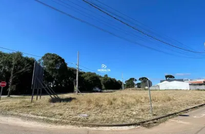 Terreno à venda na Costeira, São José dos Pinhais 
