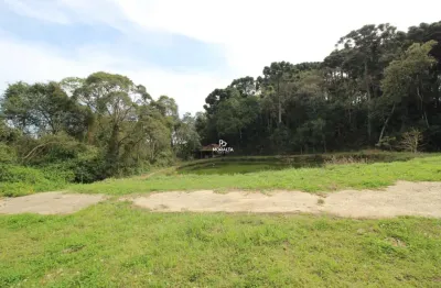 Chácara / sítio à venda na Colônia Murici, São José dos Pinhais 