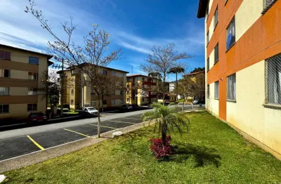 Apartamento térreo com 2 dormitórios à venda - braga - são josé dos pinhais/pr