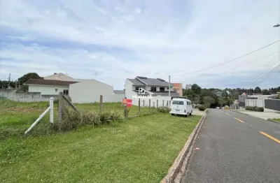 Terreno à venda em São Domingos, São José dos Pinhais 