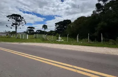 Chácara / sítio à venda no Campo Largo da Roseira, São José dos Pinhais 