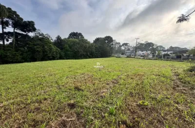 Chácara / sítio à venda no Campo Largo da Roseira, São José dos Pinhais 
