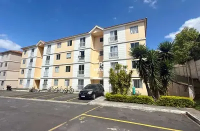 Apartamento com 2 quartos à venda no Afonso Pena, São José dos Pinhais 