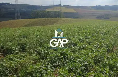 Chácara / sítio à venda na Região De Espírito Santo Dourado, sn, Zona Rural, Espírito Santo do Dourado