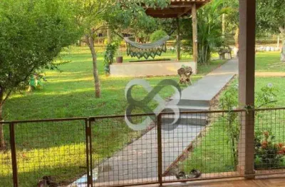 Chácara com 3 dormitórios à venda, 6000 m² por r$ 1.100.000,00 - fazenda da nata - londrina/pr