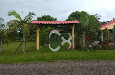 Chácara com 3 dormitórios à venda, 4000 m² por r$ 650.000,00 - josé messias - ibiporã/pr