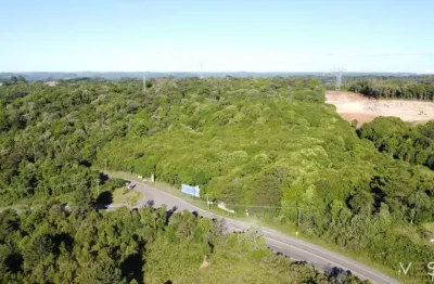 Terreno comercial à venda na Rua José Fabro E Br 116, Ana Rech, Caxias do Sul