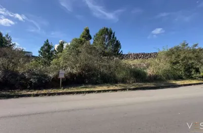 Terreno à venda na Rua Teresinha Geni Tonini Mantovani, 204, Sanvitto, Caxias do Sul