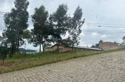 Terreno comercial à venda na Rua Doutor Nilson Teobaldo Schaeffer, Marechal Floriano, Caxias do Sul