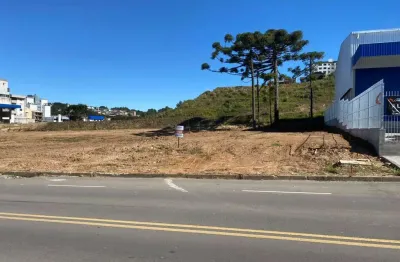 Terreno comercial à venda na Rua Olinda Pontalti Peteffi, 007, Treviso, Caxias do Sul