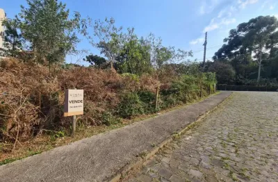 Terreno à venda na Avenida Doutor Demétrio Niederauer, Pioneiro, Caxias do Sul