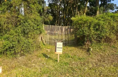 Terreno à venda na Rua Dante Marcucc, Ana Rech, Caxias do Sul